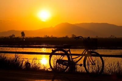 Seguro bicicleta – ciclista